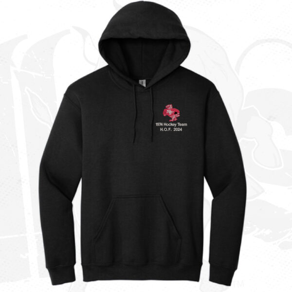 St. Francis Hoodie